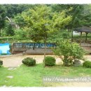 지상농장 이미지