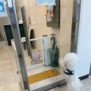 그루밍 멍 이미지