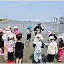 상록수어린이집 이미지