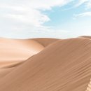 기계사막 이미지