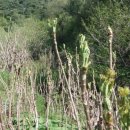 소마일농장 이미지