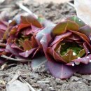 기동민박 이미지