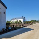 스테이 다연 이미지