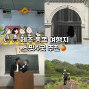 [제주/동쪽] 아이부터 어른·커플여행으로 즐기기 좋은 내돈내산 제주 동쪽 관광·놀거리 추천모음 4곳