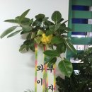 유진당구장 이미지