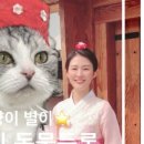 정 메디컬 동물병원 이미지