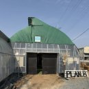 안담농장 | [체험] 부산 아기랑 딸기체험- 플랜비 체험농장