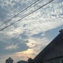 오동슈퍼 | 소품샵 같은 수제버거 찐맛집 •• 이천맛집 | 글래디버거 대만족 후기