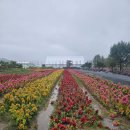 행복한 휴일 만드세요. 이미지