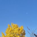 Holly Molly | [학부] 겨울방학 반납 (except 4일)