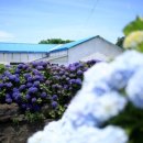 동광리-6 이미지