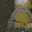 여성의집 | 청주 누수 관리, 귀여운 30대 여성의 솔직 이용 후기