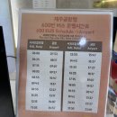 샾테라스 | 제주/ 서귀포 숙소/루프탑 수영장 / 객실소개 / 테라스 디럭스 트윈룸 /시티+오션 뷰/내돈내산/솔직후기