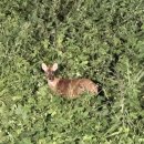 넘버원 PC방 | 실직폐업이혼부채자살 휴게실