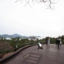 마당이바다 이미지