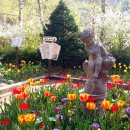 평창밸리뷰 펜션 이미지