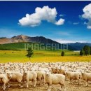 우현축산 이미지