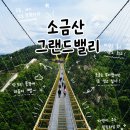 지정로 | 원주 가볼만한곳 소금산 그랜드밸리 완주 코스! 케이블카부터 소금산출렁다리 울렁다리 후기