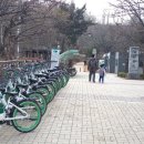계남공원 농구장