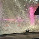 사과나무 주유소 이미지