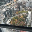 스카이빌딩 이미지