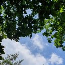 반딧불이 캠프 이미지