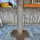 파주환경산업