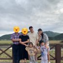 순천만국가정원 서문주차장 화장실 | 가족나들이 순천여행 순천만국가정원 서문주차장 어린이동물원 스카이큐브 탑승 순천만습지 방문후기