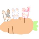 공화춘수타왕손짜장 이미지