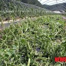 논미2리 이미지