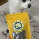 멍멍스푼 이미지