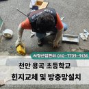 천안용곡초등학교 이미지