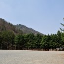 도원운학로 이미지