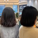 세이헤어샵 | 검단신도시미용실 써드힐헤어 세이 디저이너쌤 믿고 태슬컷 도전!