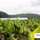 명현농장 이미지