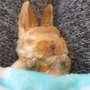 명수농장 이미지