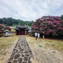 (충청도여행) 효의 논산 충곡서원 ,,보명사 (2025-8-10)