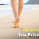 레푸스 정자점 이미지