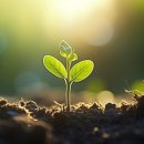 흥농농약사 이미지