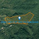 소나무부동산공인중개사사무소 이미지