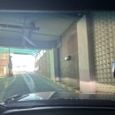 삼융시네마 | [초보운전 성장기] 야당역 삼융시네마(KFC,CGV건물) / 난이도 下