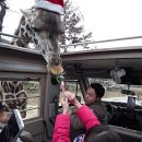 (주)송파자원 이미지