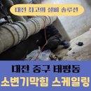 비래서로 | 대전 중구 태평동 소변기막힘, 총 4대 스케일링까지 완벽 해결한 작업 후기