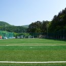 금화초등학교 이미지