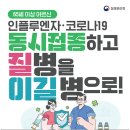 의정부시, 65세 이상 독감(인플루엔자)‧코로나19 동시 접종 이미지