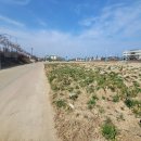 유수세천 이미지