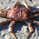 목공예A 이미지