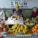 일성어린이집 네이버블로그