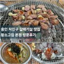 황소고집 | [용인 처인구 맛집] 통갈매기살이 맛있는 황소고집 본점 주말 방문후기