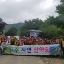 마조천 Daum카페